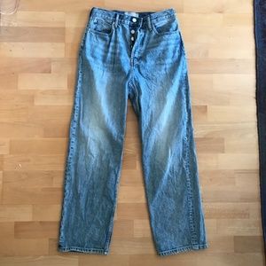 Everlane Rigid Way High Jean Organic 100% Cotton size 27 Long